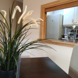 Planta decorativa y al fondo el hueco que da a la cocina
