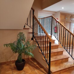 Escalera zona común con un árbol decorativo
